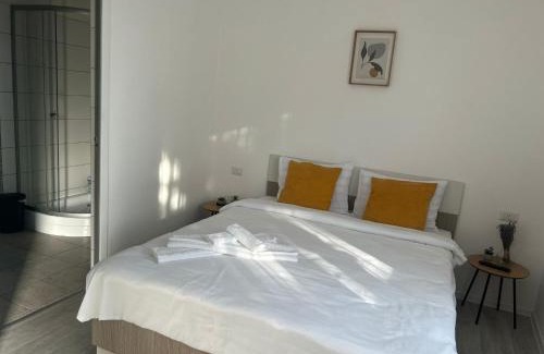 Fagaras House | Alex House