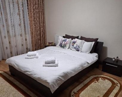 Slanic-Moldova Apartment | Alexander Residence