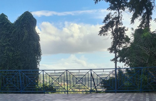 Port of Spain Hotel | Alicia's Palace