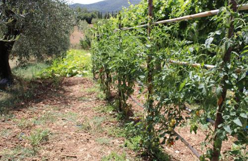 Avigliano Umbrio House | Alle Preci Country house