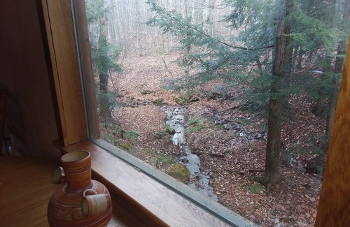 Salamanca House | Allegany State Park Rental in the Forest