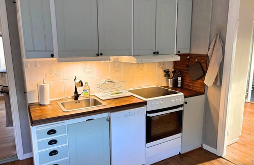 Hultsfred House | Allergy-friendly Swedish house with lake view and fireplace in Hultsfred, Småland