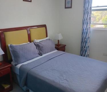 Hastings Apartment | Alleyne Apartments