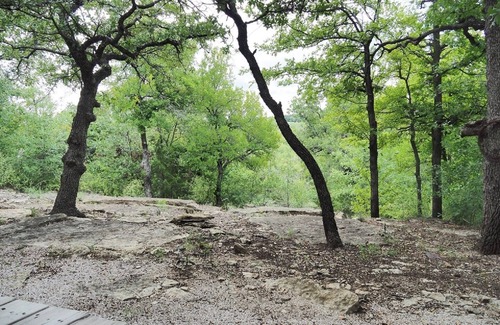 Eastland House | Allure charming peaceful wooded Hill Country like views with easy Lake access