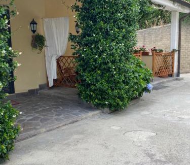 Sacrofano House | Alma Luna