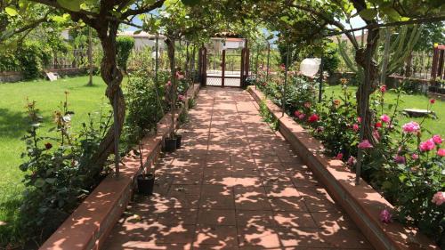 Telese House | Alma Migrante bed&wine