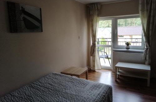 Mikoszewo Apartment | Alma