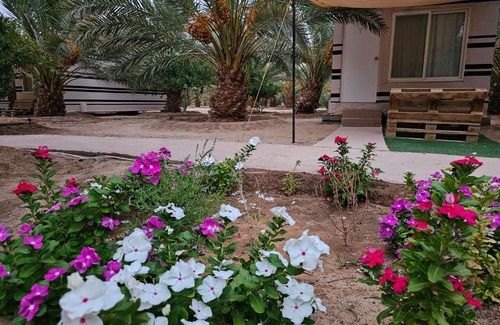 Mada'in Saleh Hotel | Almazham hotel room resort