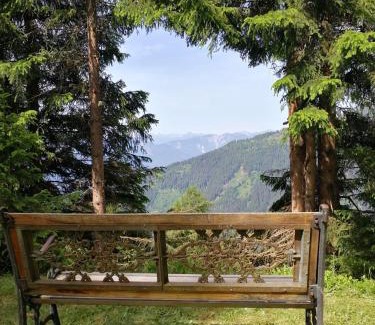Greifenburg House | Almhütte Enzian