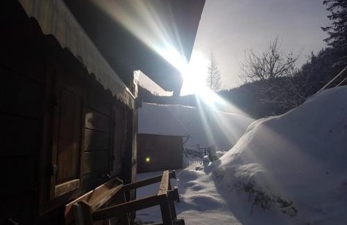 Turnau House | Almhütte Seeberg