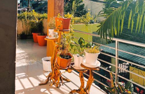 Ambon Hotel | Almira Homestay Ambon Mitra RedDoorz