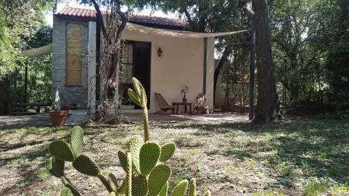 El Rincon Apartment | Aloja Merlo