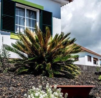 Sao Joao House | Alojamento Tomas - Oceanview Home