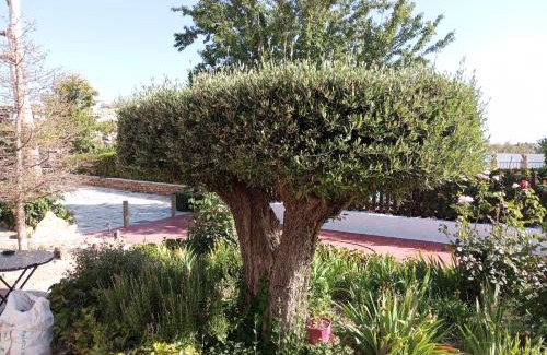 Baza House | Alojamiento rural el Fandanguillo
