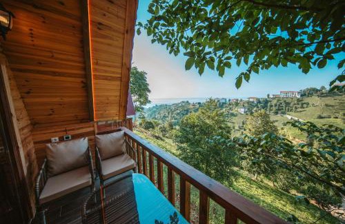 Kocasinan Ski Chalet | Alpha Bungalov