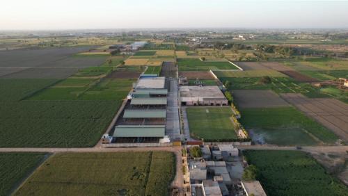 Kasur House | Alpha Farmhouse