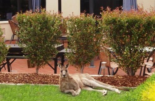 Greenway Hotel | Alpha Hotel Canberra