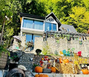 Dambovicioara Villa | Alpin Heaven