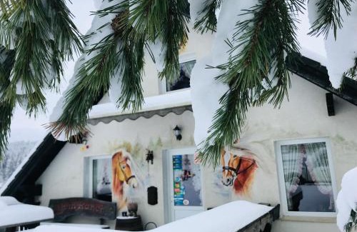 Zarnesti House | Alpin Ranch