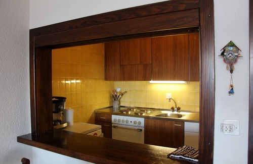 Randogne Apartment | Alpine Panorama 1 bedroom appartment