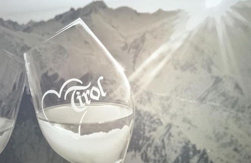 Aschau Im Zillertal Apartment | Alpinliving.Tirol