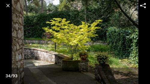 San Mariano Villa | AltaVista - Perugia