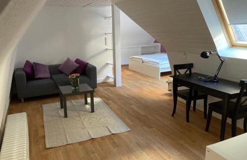 Heidelberg City Centre Apartment | Alte Brücke