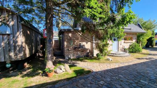 Zempin Apartment | Am Rieck - Ferienhaus "Kurfürstenstraße"
