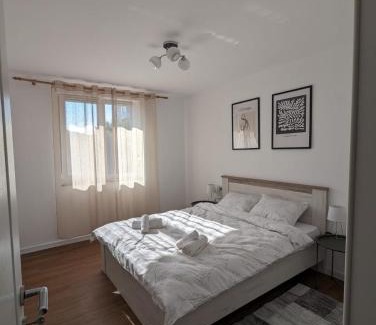 Ocna Mures Apartment | AMA's House