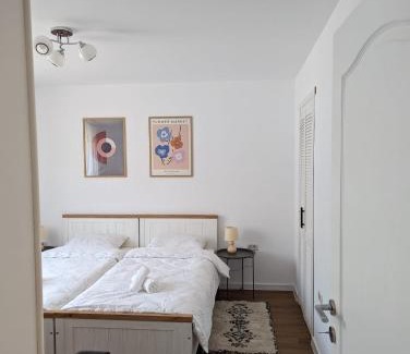 Ocna Mures Apartment | AMA's House