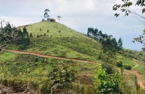 Soni Other | Amani Eagles Nest Eco and View Point