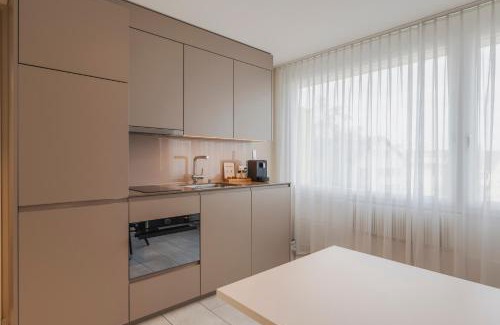 Glattbrugg Apartment | Amanthos Living Zürich Airport