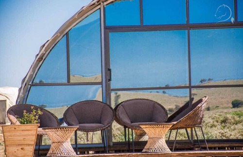 Amboseli Cabin | Amanya 2-Rooms Lioness Family