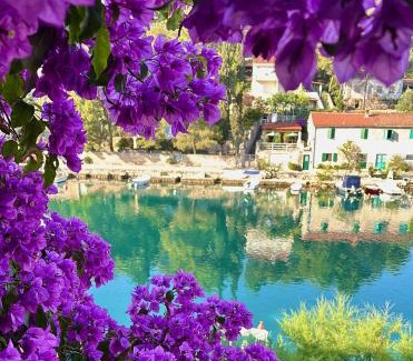 Bobovisca Apartment | Amare Apartments