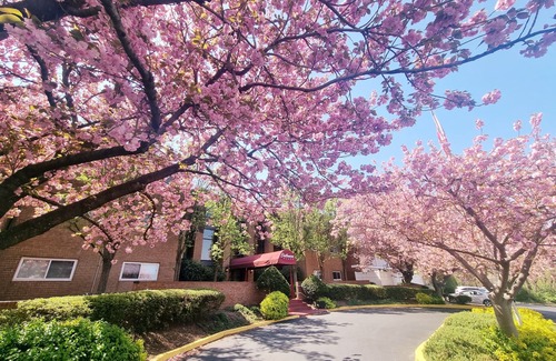 Elkins Park Apartment | Amazing 2BR 2B Condo Monthly Discount