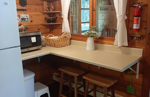 Lyon Mountain Cabin | Amazing Adirondack Sunsets with Log Cabin Memories on Upper Chateaugay Lake