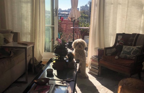 Greenpoint Apartment | Amazing Apartment w Balcony. Quiet, full of light and Next to the Park!