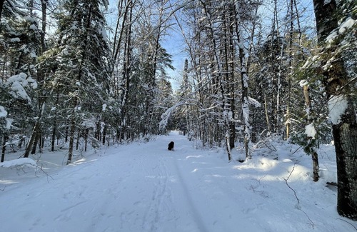 Bonfield Cottage | Amazing Canadiana 4 Bedroom log Cottage.