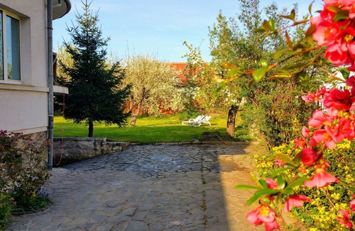 Three Oaks House | Amazing house with beautiful garden, 5 bedrooms, terrace, in the City Centre