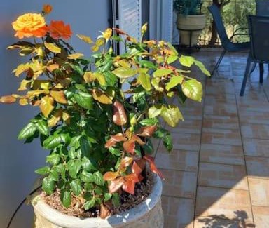 Chalcis House | AMAZING VIEW IN ANTHIDONA