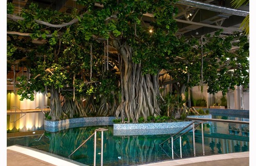 Calea Sever Bocu Apartment | Amazonia Apartments