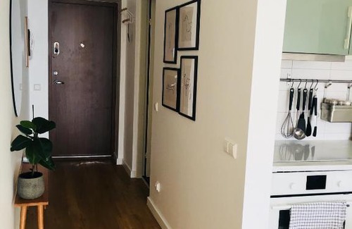Juodkrante Apartment | Amber Adder Apartment