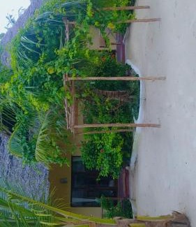 Pongwe Bed & Breakfast | Amber Lodge
