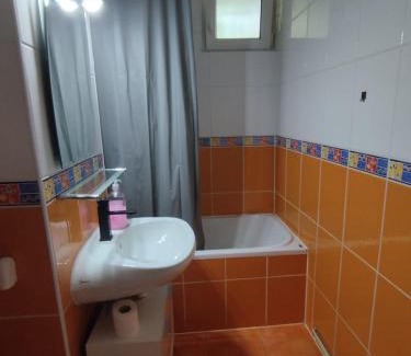 Ocna Mures Apartment | AME Home Apartament