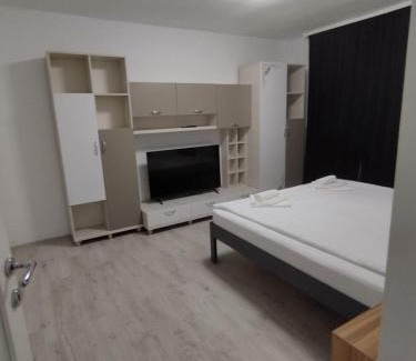 Ocna Mures Apartment | AME Home Apartament