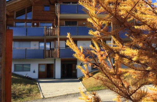 Riederalp Apartment | Amici 1. OG West by Interhome