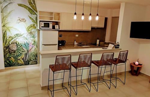 Posadas Apartment | Amma Selva Temporarios