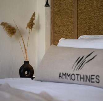 Golden Beach Hotel | Ammothines Beach Suites