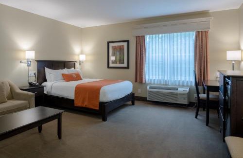 Sussex Hotel | Amsterdam Inn & Suites Sussex