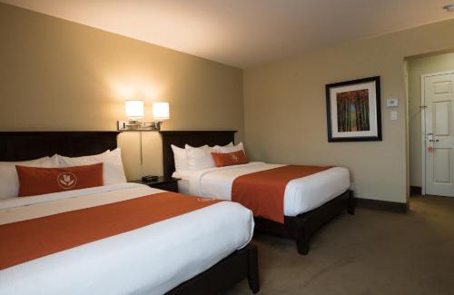 Sussex Hotel | Amsterdam Inn & Suites Sussex